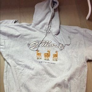 brandy melville st moritz switzerland hoodie